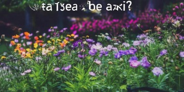 物业补贴需要上税吗？
